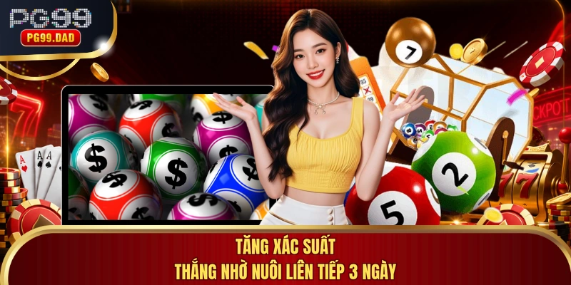 Tăng xác suất thắng nhờ nuôi liên tiếp 3 ngày